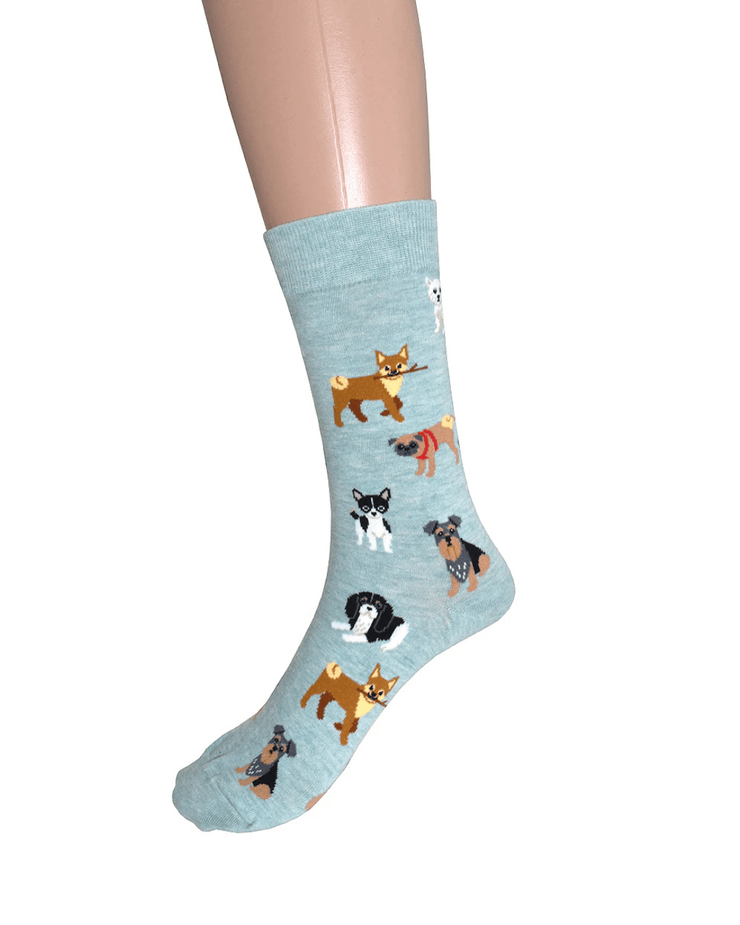 Dog Socks #2817